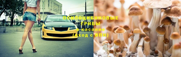 а пвп мука Кулебаки