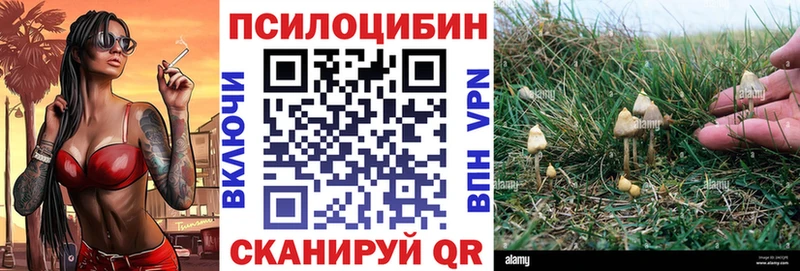Псилоцибиновые грибы мухоморы  Купить где  Печора 